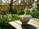 workshop-idee-kintsugi-im-garten-bei-fruehlingssonne